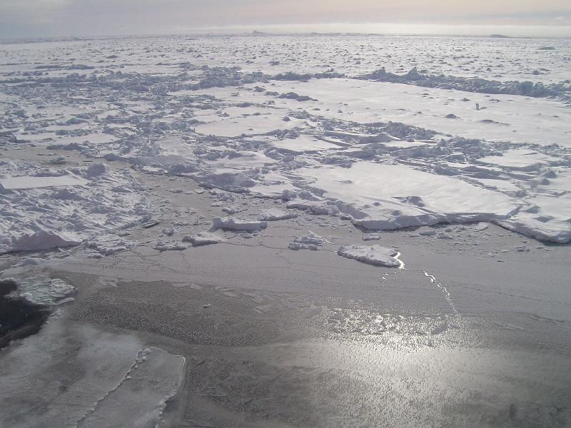 Various ice type.jpg